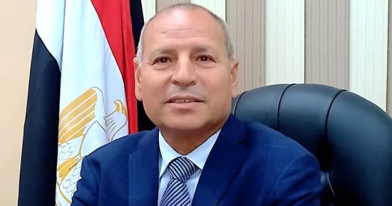 تفاصيل قرار محافظ القاهرة بمنع قطع الأشجار والتقليم الجائر