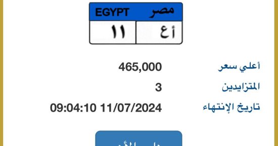 مزاد على لوحة "أ ع- 11" المميزة يرفع سعرها لـ465 ألف جنيه