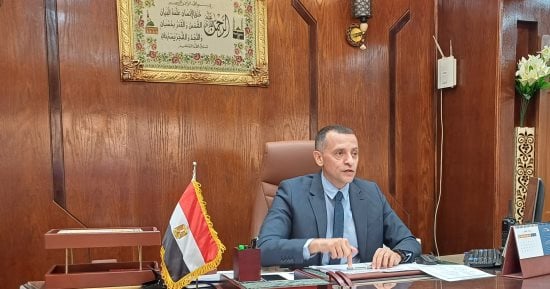 تعاون بين محافظة أسوان والجامعة الألمانية لتنفيذ مشروع الهوية البصرية