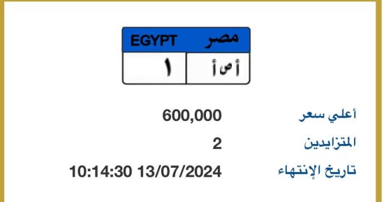 مزاد على لوحة "أ ص أ - 1" المميزة يرفع سعرها لـ 600 ألف جنيه