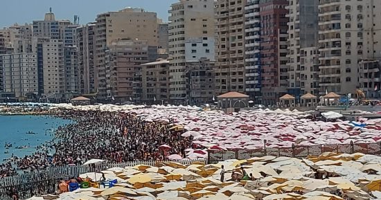 ضبط 40 منشأه سياحية غير ملتزمة بقوائم الأسعار فى حملات مكبرة بالإسكندرية