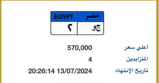 مزاد على لوحة "ج و - 2" المميزة.. وسعرها يتخطى نصف مليون جنيه