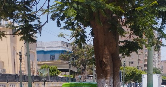 أجواء شديدة الحرارة فى الصعيد.. تعرف على حالة الطقس فى المنيا.. فيديو