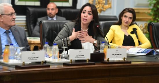 النائبة غادة على تطالب بخطة واضحة لكل وزارة والربط بين الصناعة والتعليم