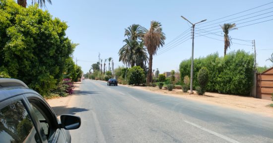 رياح ساخنة والحرارة تصل لذروتها في الصعيد.. والعظمى بسوهاج 44 درجة