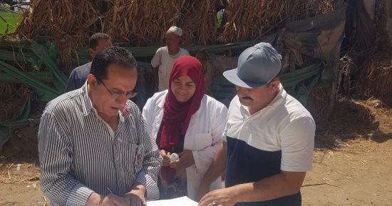 انطلاق حملة تحصين 212 ألف رأس ماشية ضد الحمى القلاعية بكفر الشيخ.. صور