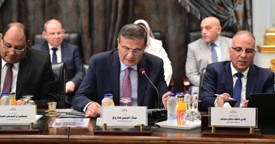 وزير الزراعة: التوسع في دعم الفلاح ومشاركة القطاع الخاص بمشروعات التنمية الزراعية