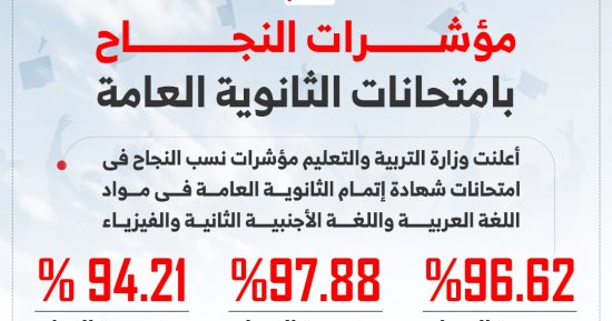 نسب النجاح فى الفيزياء والعربى واللغة الثانية بالثانوية 2024.. إنفوجراف