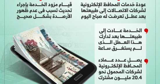 بعد خطأ فى ظهور الأرصدة.. عودة خدمات المحافظ الإلكترونية لطبيعتها.. إنفوجراف