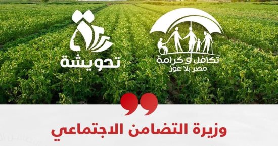 كيف تستفيد أسر تكافل وكرامة من برنامج "تحويشة" للادخار والإقراض الرقمى؟