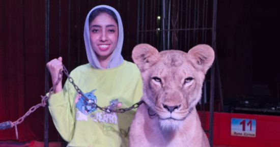 "مبتخافش من الأسود وبتعالجها".. آلاء هاني طبيبة بيطرية قلبها جامد كرست حياتها لعلاج ملك الغابة.. لفت مصر لمتابعة صحة 45 أسدا.. وتؤكد: تعاملت مع التماسيح و"الأناكوندا" والنمور لكننى لم أنسجم إلا مع الأسد.. صور