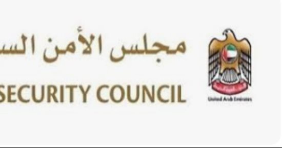 "الأمن السيبرانى" بالإمارات: لا مؤشرات لاختراقات إثر الخلل التقنى العالمى