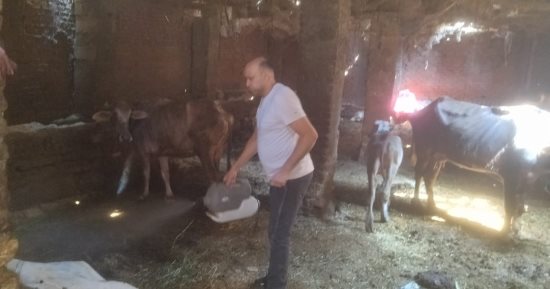 مديرية الطب البيطرى بالجيزة تطلق 15 قافلة علاجية إرشادية مجانية لدعم المربين