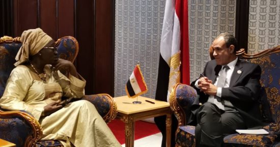 وزير الخارجية والهجرة يلتقى نظيره السنغالى ياسين فال
