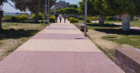 عشاق المشى يجمعوا هنا.. ممشى عالمى على أرض المنيا.. فيديو