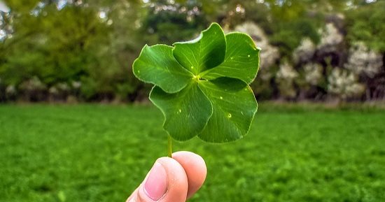 6 رموز للحظ السعيد في الأحلام ومعانيها.. النار والبرسيم الأغرب
