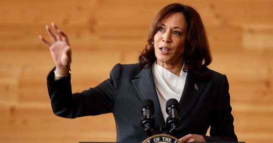 Harris Ignores Gaza at Democratic Conference, Warnings of Losing Arab and Muslim Support