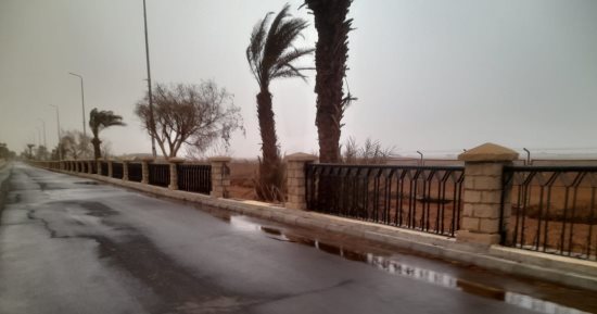 وقف الملاحة فى بحيرة ناصر وإغلاق طريق أسوان - أبو سمبل لسوء الطقس.. صور