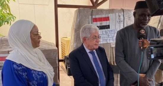 مصر تهدى شحنة مساعدات غذائية لمالى