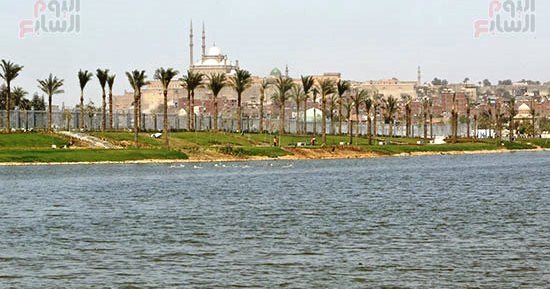19 اختصاصا بقانون حماية البحيرات والثروة السمكية لتنمية الاقتصاد القومى.. اعرفها