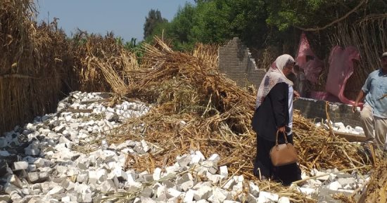 إزالات فورية لحالات تعد فى تلا والباحور بالمنوفية