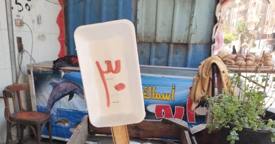 رواج كبير في أسواق بيع الأسماك بالغربية بعد انخفاض الأسعار.. فيديو وصور