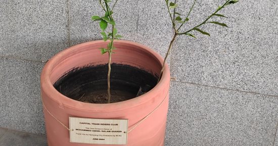 زراعة محطات القطار الكهربائى الخفيف بالأشجار المثمرة.. بث فيديوهات بالعربات لتشجيع الركاب على التشجير وإطلاق أسماء أكثر المواطنين استخداما للقطار على الأشجار.. ومبادرة شجرها تزرع 360 ألف شجرة بالمحافظات.. صور