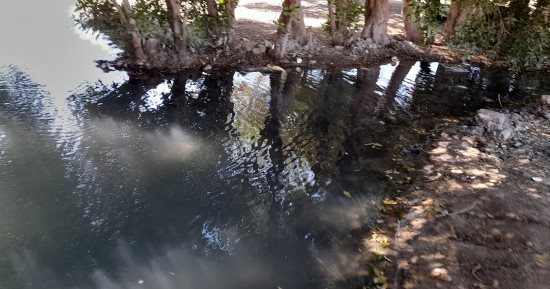  الكنز البكر فى الصحراء.. عيون كبريتية برأس سدر تستقطب السياح للعلاج