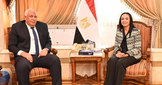 وزيرة التضامن تبحث مع محافظ الوادي الجديد دعم مراكز التأهيل بالمحافظة