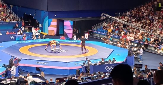 محمد مصطفى يودع منافسات المصارعة بأولمبياد باريس