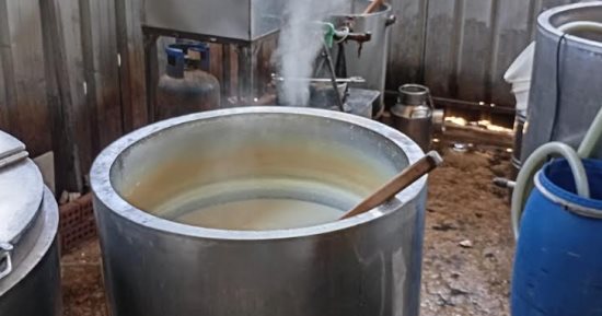 ضبط مصنع غير مرخص لإنتاج الألبان خلال حملات تفتيشية بالمنوفية