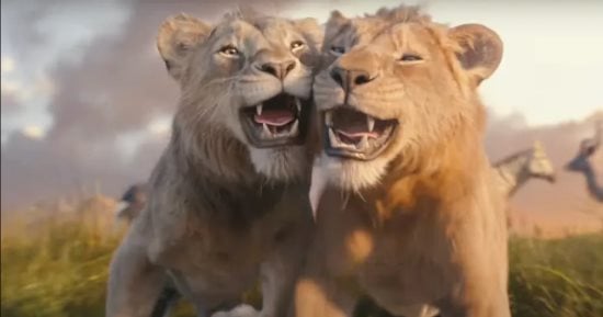 الفن – أكثر من 9 ملايين مشاهدة للبرومو الرسمى لفيلم Mufasa: The Lion King – البوكس نيوز