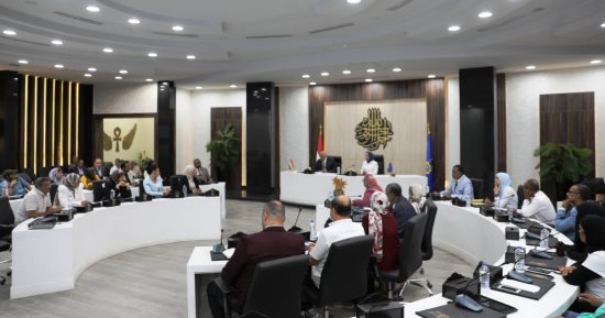 محافظ أسوان يفتتح ورشة عمل المبادرة الوطنية للمشروعات الخضراء الذكية