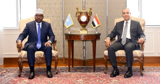 بدر عبد العاطي يؤكد لنظيره الصومالى رفض مصر أى تدخل فى شئون مقديشيو
