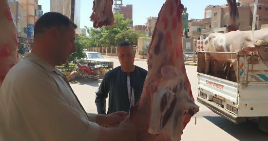 كيلو اللحمة البتلو بـ290 جنيها والضأن بـ320 بمبادرة محاربة الغلاء فى المنوفية