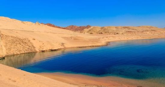 المحميات الطبيعية مش بس صحرا ورملة.. 4 محميات قبلة المصطافين فى حر الصيف.. متعة الطبيعة ومناظرها الخلابة تحول رحلة المصيف لذكريات لا تنسى.. فى النهار بحر وميه وبالليل حفلات شواء وسمر ومشاهدة النجوم.. صور