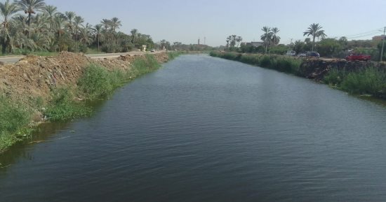محافظة الجيزة توضح أسباب وجود بقع زيتية بأجزاء من المجرى المائى لترعة المريوطية