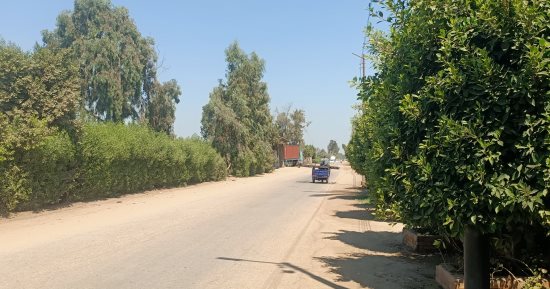 ارتفاع شديد فى درجات الحرارة على معظم مناطق المنوفية.. مباشر