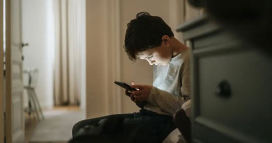 نواب يشيدون بحملة اليوم السابع "احمى طفلك من الإنترنت".. ويؤكدون: الشبكة العنكبوتية بيئة خصبة لاستغلال الأطفال.. والتشريع الحقيقى للتصدى له يخرج من الأسرة.. ويشددون: عالم مفتوح يمثل خطورة كبيرة على النشء