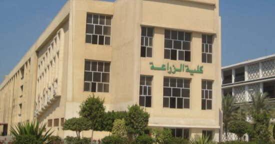 تعرف على مصروفات البرامج النوعية بزراعة المنصورة