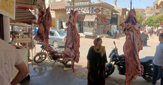 البتلو بـ280 جنيها.. أسعار اللحوم فى حملة مبادرة محاربة الغلاء بالمنوفية