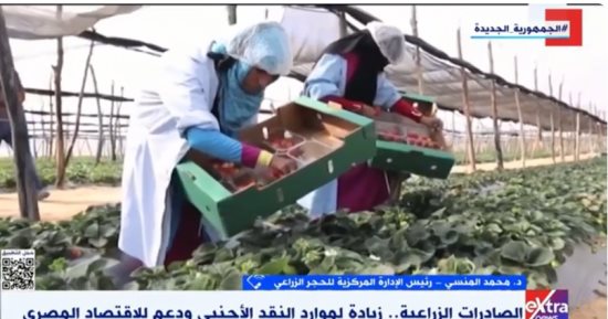 الحجر الزراعى: الصادرات الزراعية المصرية من أهم موارد النقد الأجنبى