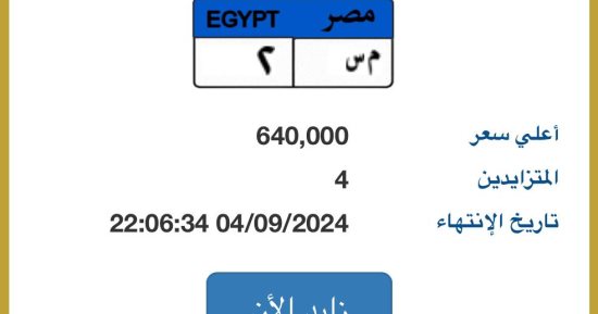 سعر لوحة "م س- 2" المميزة يتخطى نصف مليون جنيه بالمزاد وتنافس بين 4 أشخاص