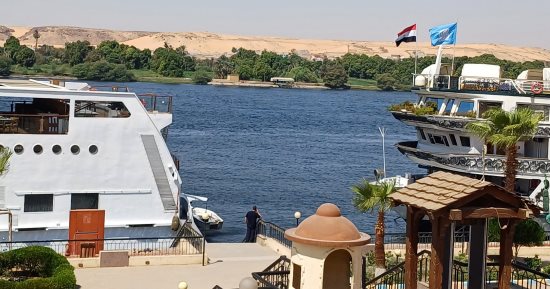 منظر خلاب للطبيعة والنيل بمدينة أسوان مع انخفاض درجات الحرارة.. فيديو