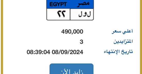 3 مزايدين على لوحة "ل و ل- 22" المميزة وسعرها يقترب من نصف مليون جنيه