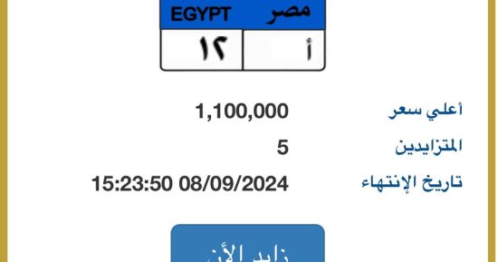 قيمتها تتخطى مليون جنيه.. طرح لوحة سيارة جديدة مميزة رقمها "أ - 12" بالمزاد