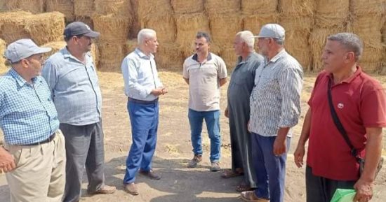 زراعة الشرقية تكثف مرورها الدوري لمتابعة الزراعات الصيفية