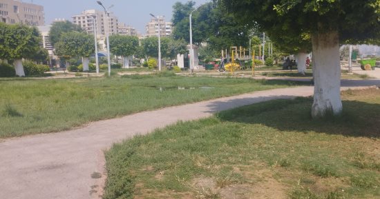 شاهد جمال الطبيعة على كورنيش المنيا.. فيديو