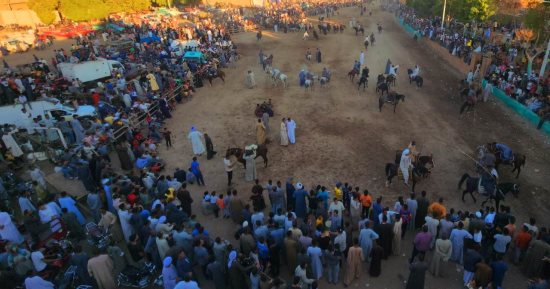 ولد الهدى فالكائنات ضياء.. وبدأت ليالى احتفالات المولد النبوى الشريف فى الأقصر.. سباقات مرماح للخيول بمشاركة شباب خيالة الصعيد وحلقات التحطيب نهاراً فى قرية منشأة العمارى.. وليالى ذكر ومديح يومياً..  فيديو وصور