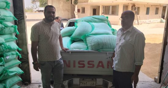 ضبط مخالفات تموينية خلال حملات مكثفة بأحياء ومراكز الجيزة